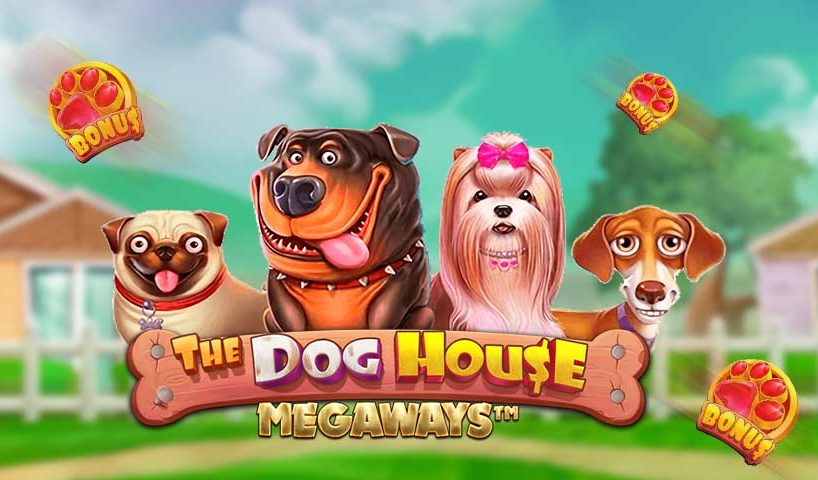 Dog house megaways